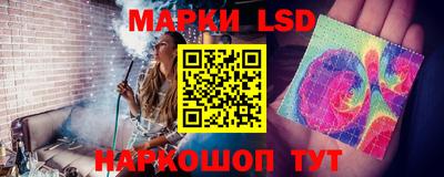 стаф Донской