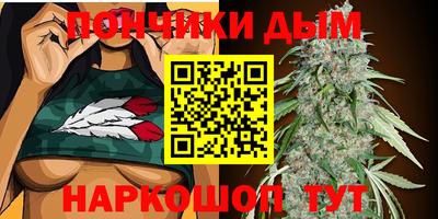 стаф Донской