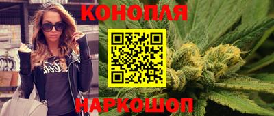 стаф Донской