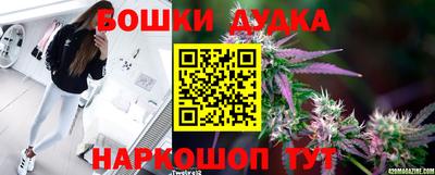 соль ск Дубна