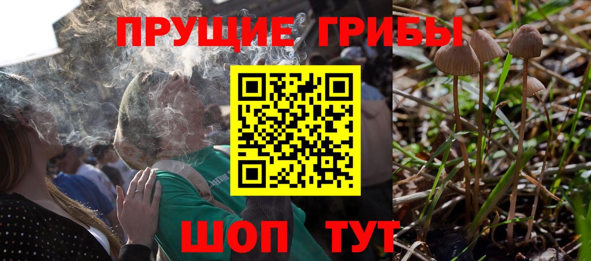 магазин  наркотиков  Галлюциногенные грибы Cubensis  Вход с VPN  Мыски 