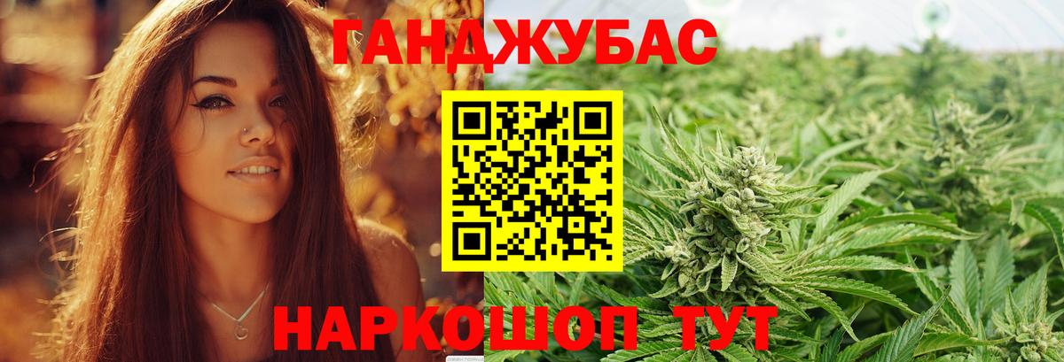 Конопля планчик  Каннабис гибрид  Бошки марихуана план  Вход с VPN  Мыски 